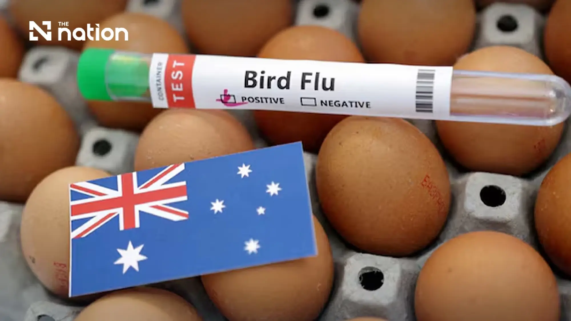 Waspada Flu Burung H5N1, Sudah Menyebar ke Filipina dan Australia
